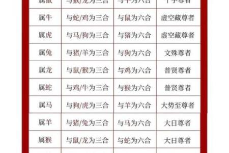 八字十二地支三合六合详细解说
