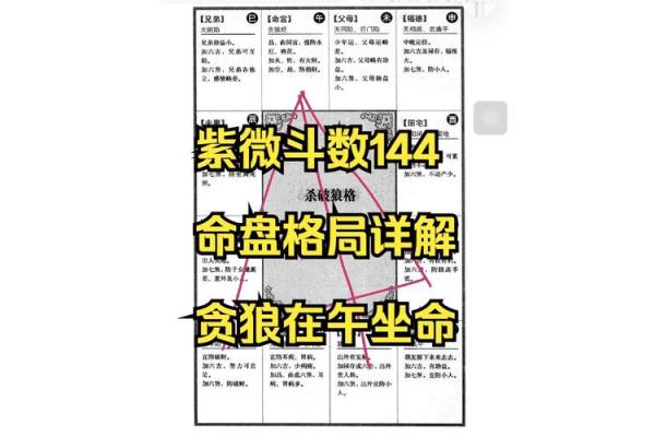 紫薇斗数贪狼星性 紫薇斗数贪狼星性