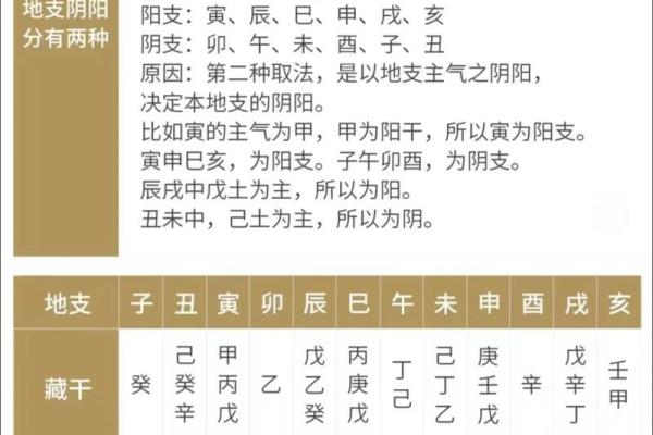 八字十天干的特点要义（上）