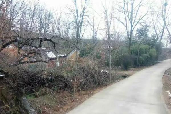 内乡余关镇报事滩算命