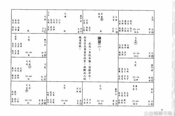 五星派紫薇斗数