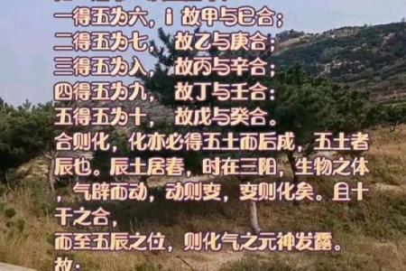 八字十天干的特点要义（上）