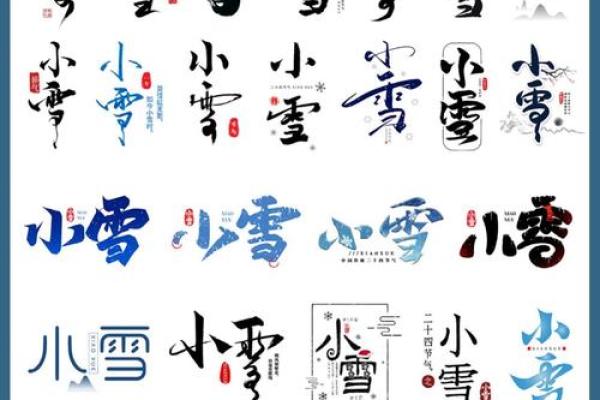 2019年大雪节气出生带雪字取名女孩名字，关于雪的唯美名字姓名