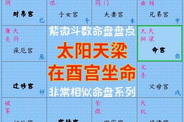 紫微斗数太阳星在各宫的影响 紫微斗数太阳星在各宫的影响