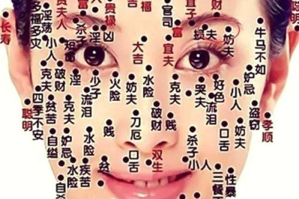 眼皮看面相算命