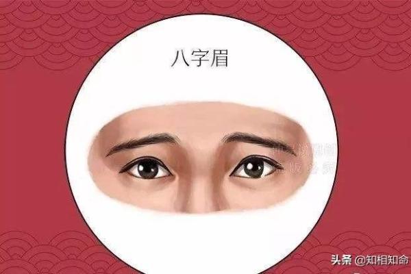 八字眉女人是穷相吗？财运如何