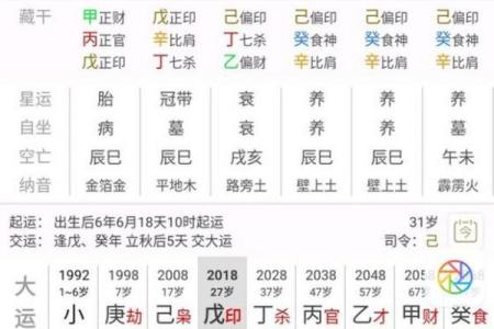 食神泄秀八字案例