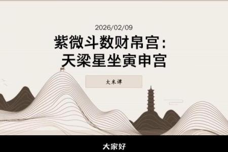 紫薇斗数财帛宫天同平