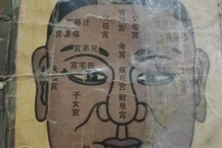 眼皮看面相算命