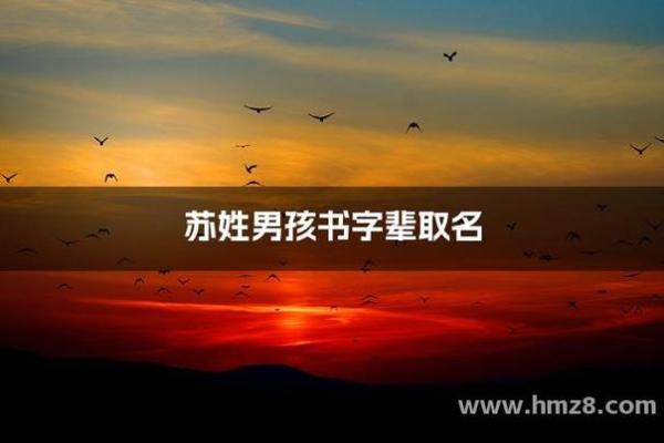 苏姓男孩名字大全-苏姓男孩起名字大全-苏姓名字大全姓名