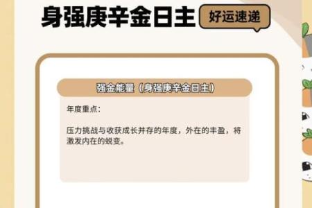 通过八字看未来五年运势