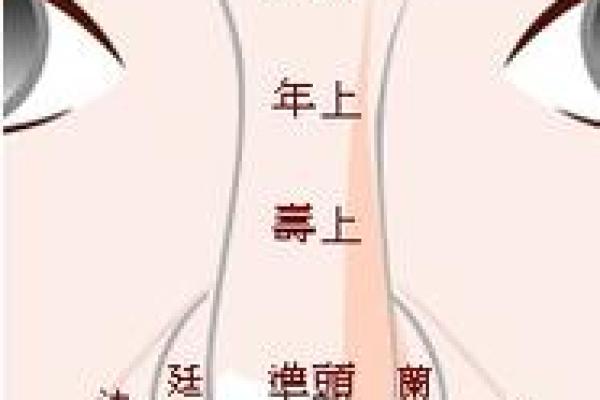 济缘算命：解读鼻子对命运的影响