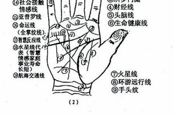 怎么用手算命 怎么用手算命