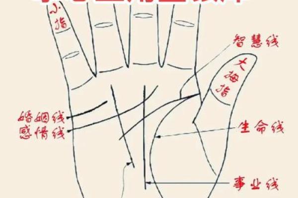 怎么用手算命 怎么用手算命