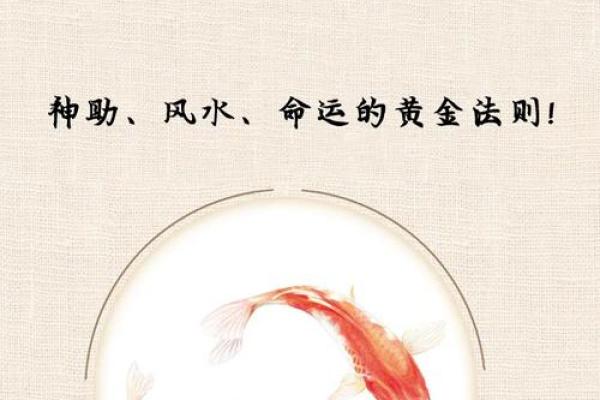 运势不好有福了,教你风水转运 运势不好有福了,教你风水转运