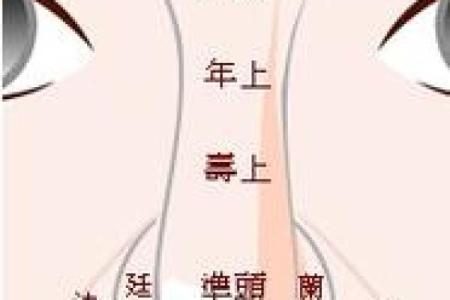 济缘算命：解读鼻子对命运的影响
