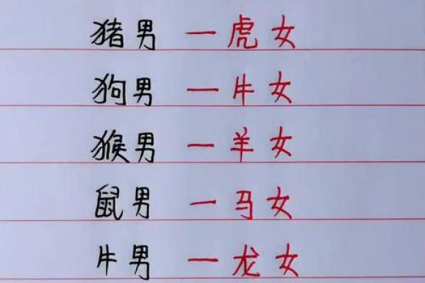 双猪双羊算命详解 双猪双羊算命详解