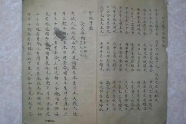 紫薇斗数书入门