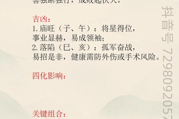 紫薇斗数书入门