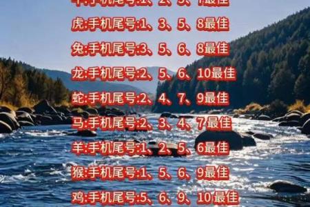 在线测试手机号码吉凶打分