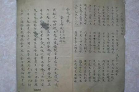 紫薇斗数书入门