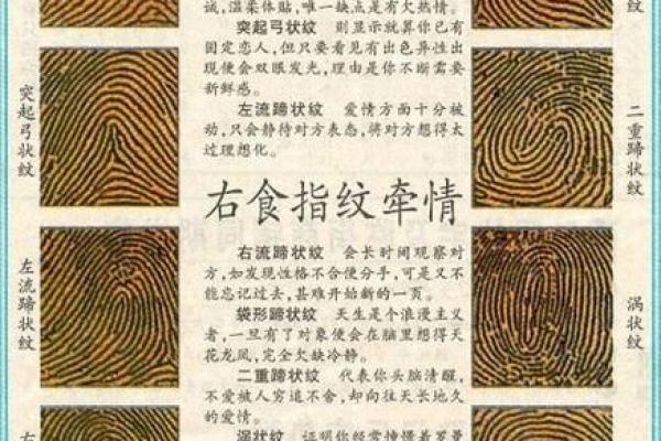 手相指纹算命图解 手相指纹算命图解