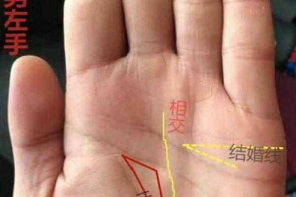 看手相算命图解：手相看婚姻