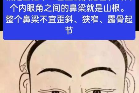 紫微斗数诸星落诸宫之，贪狼星：阳木疾厄宫详解