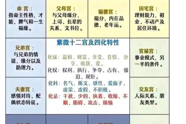 八字算命为何双胞胎的命运会出现不同的结局