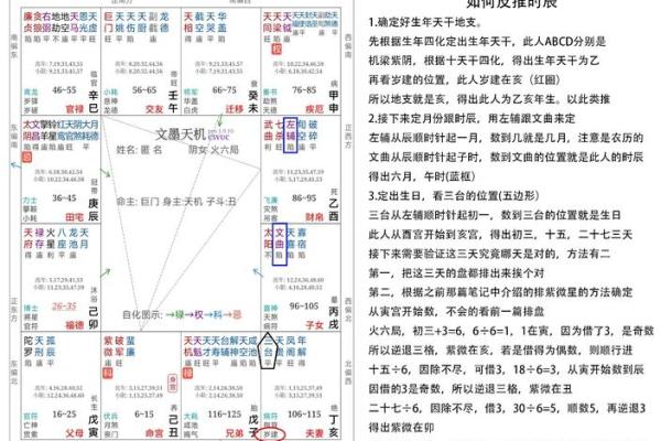 怎么排紫薇斗数 怎么排紫薇斗数