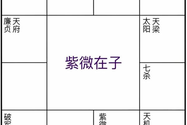 紫薇斗数南北派之分