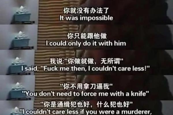 算命记录片之一集