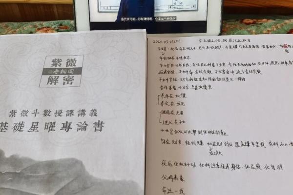 男命紫薇斗数看桃花