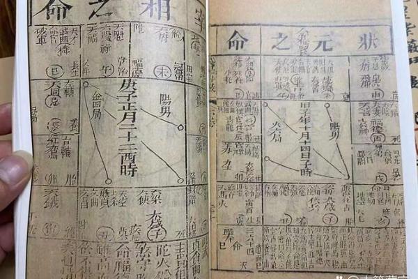 紫薇斗数身福宫