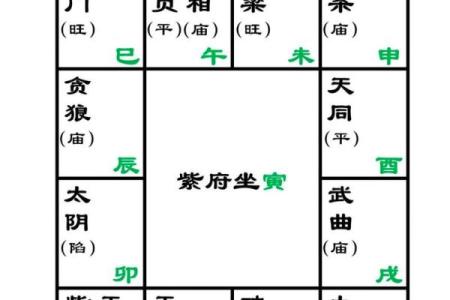 男命紫薇斗数看桃花