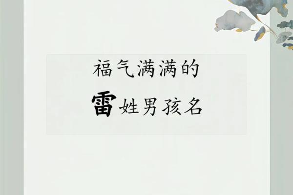 雷姓女孩名字大全-雷姓女孩起名字大全-雷姓名字大全姓名