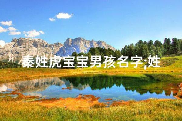 中午1点出生的属虎男孩如何起名，适合什么字姓名