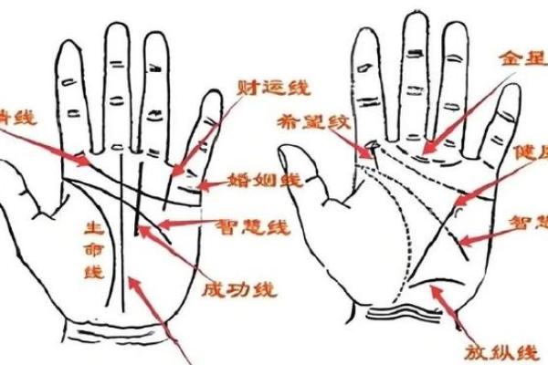 凯帝阿手相算命图解大全03
