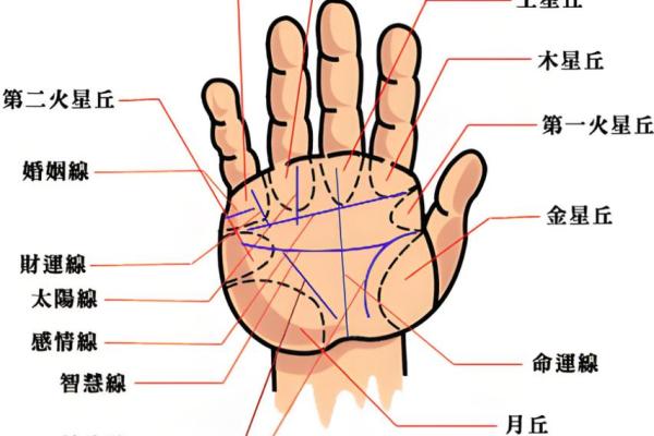 凯帝阿手相算命图解大全03
