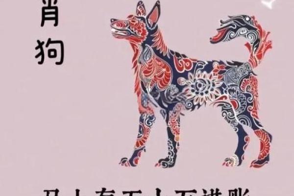 属狗和属牛的八字合吗