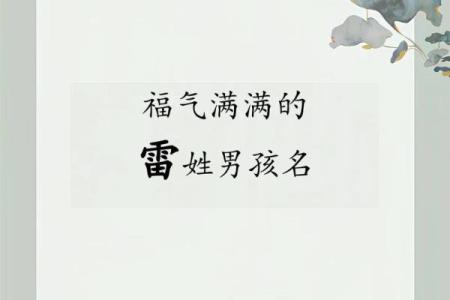 雷姓女孩名字大全-雷姓女孩起名字大全-雷姓名字大全姓名