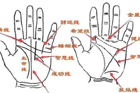 凯帝阿手相算命图解大全03