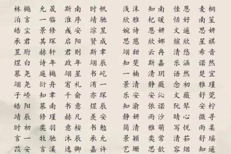 2019年5月29号子时出生的男孩起名方法姓名