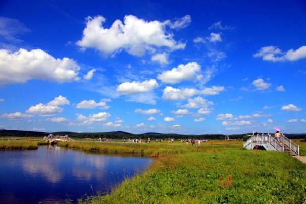 如何以沙漠绿洲为中心测算八字？