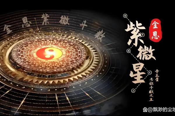 低调破解紫薇斗数 低调破解紫薇斗数