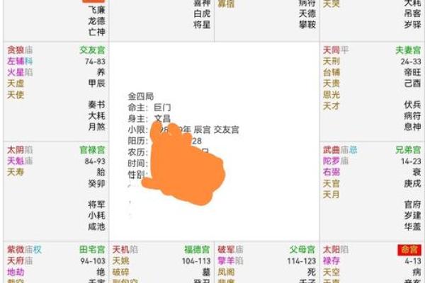 紫薇斗数在哪里学 紫薇斗数在哪里学