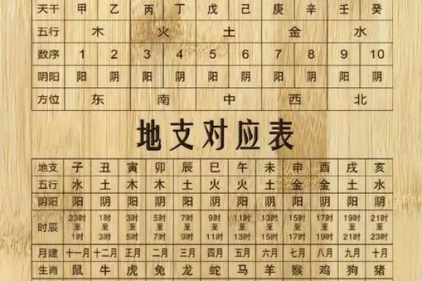 八字天干的根