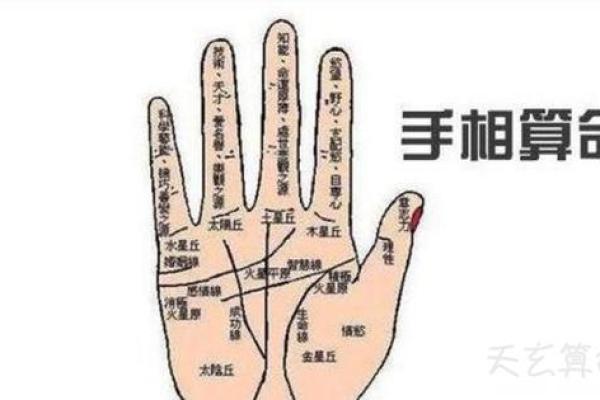 手相算命图解：3种手掌纹路看你是否能暴富，大富大贵享不尽