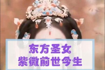 紫薇星君转世动画