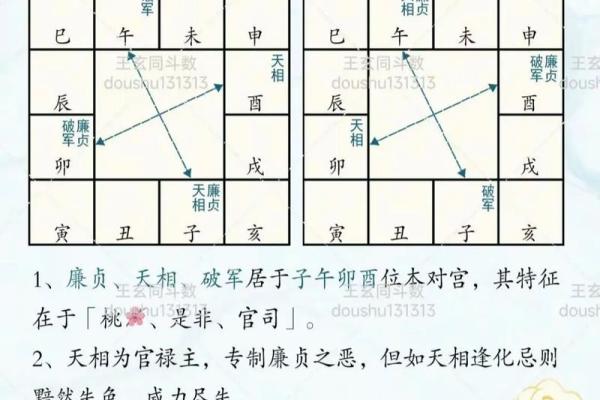 紫薇斗数格局图 紫薇斗数格局图